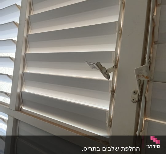 תריסים לבנים עם מנגנון פתיחה וסגירה
